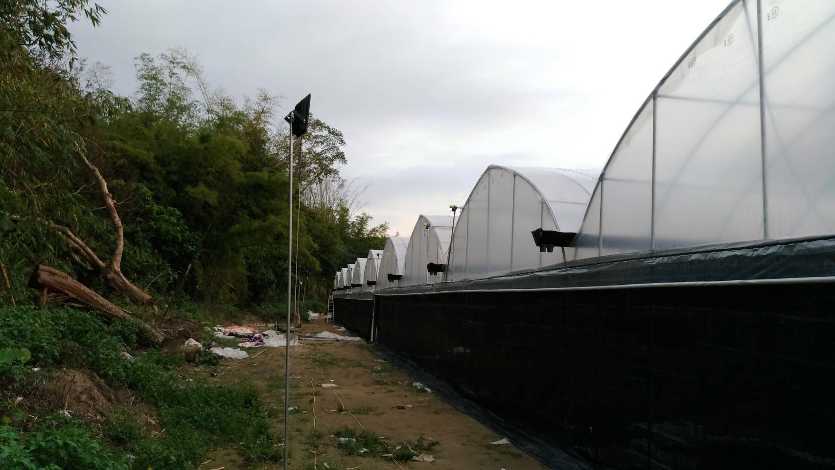 溫室工程規劃施工