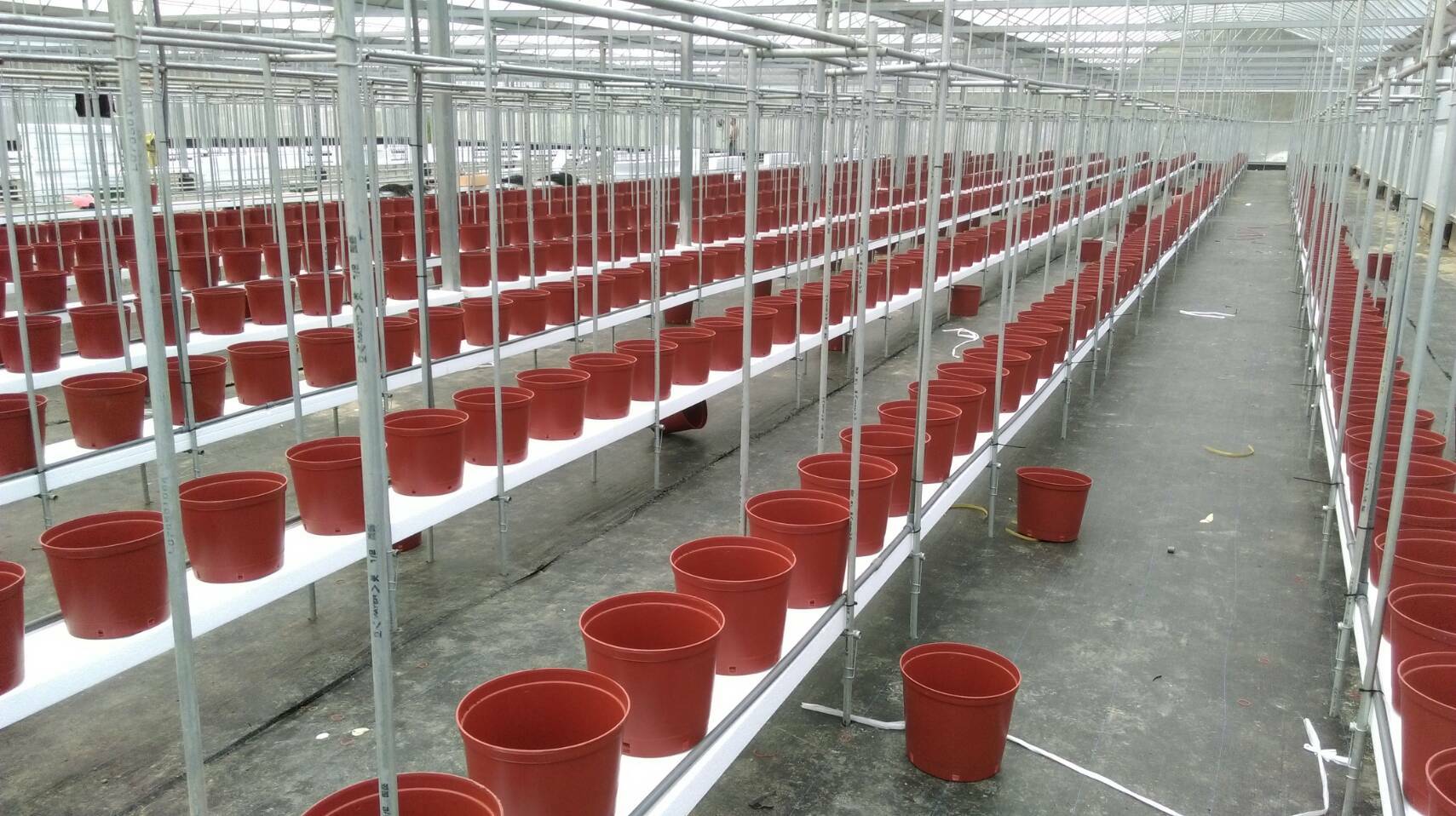 溫室工程,溫室內床施工設計