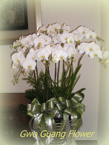 追思蘭花組合