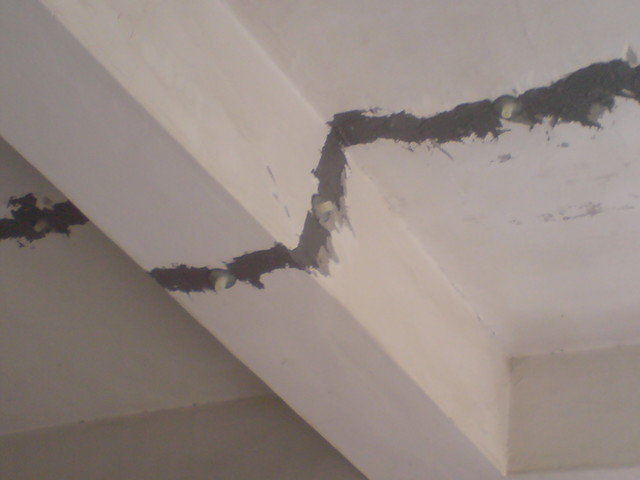 天花板裂縫補強