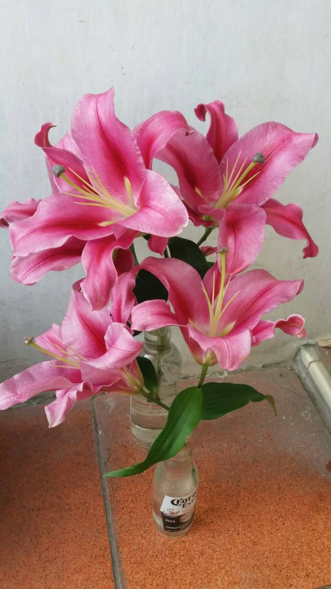 21是朋友就該按讚按一下有何困難