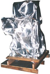 抽氣包裝-抽氣包裝後