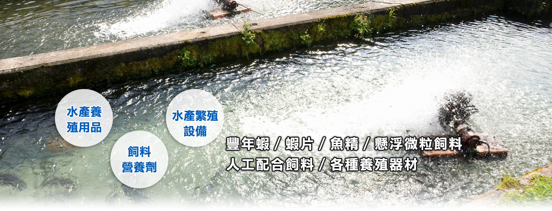 晟社貿易有限公司-水族館