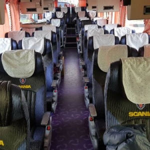 大園交通有限公司(遊覽車)-undefined