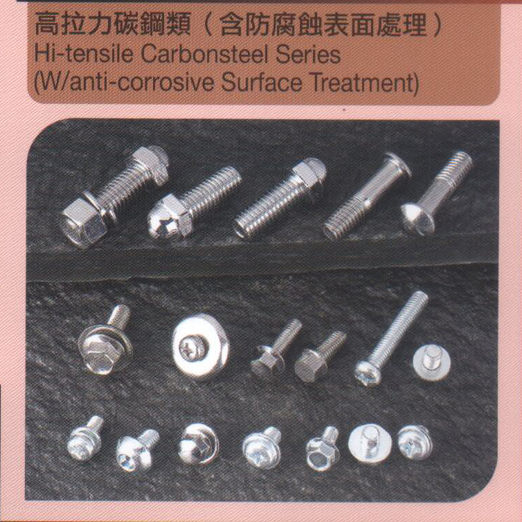 高拉力碳鋼類(含防腐蝕表面處理)