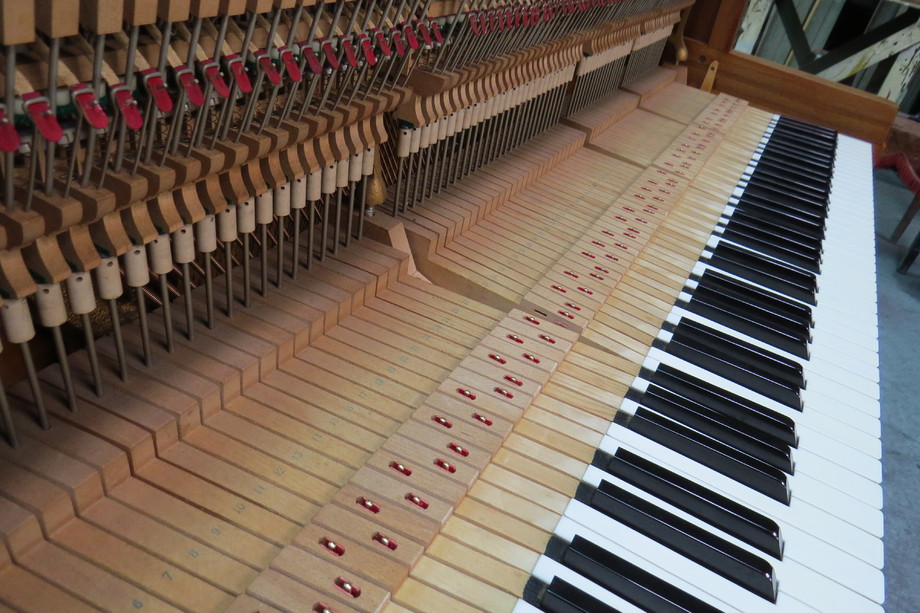 鋼琴調音、維修、檢測