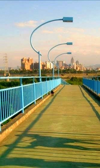 室外照明設備(61)