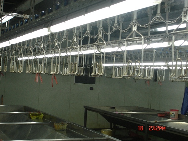 自動化生產模式屠宰雞鴨機械設計