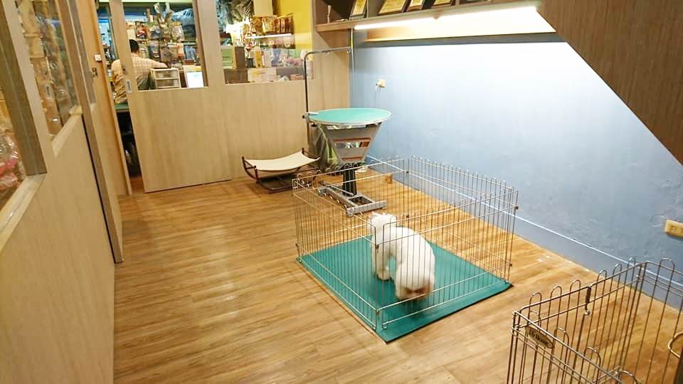 狗狗安親住宿室2