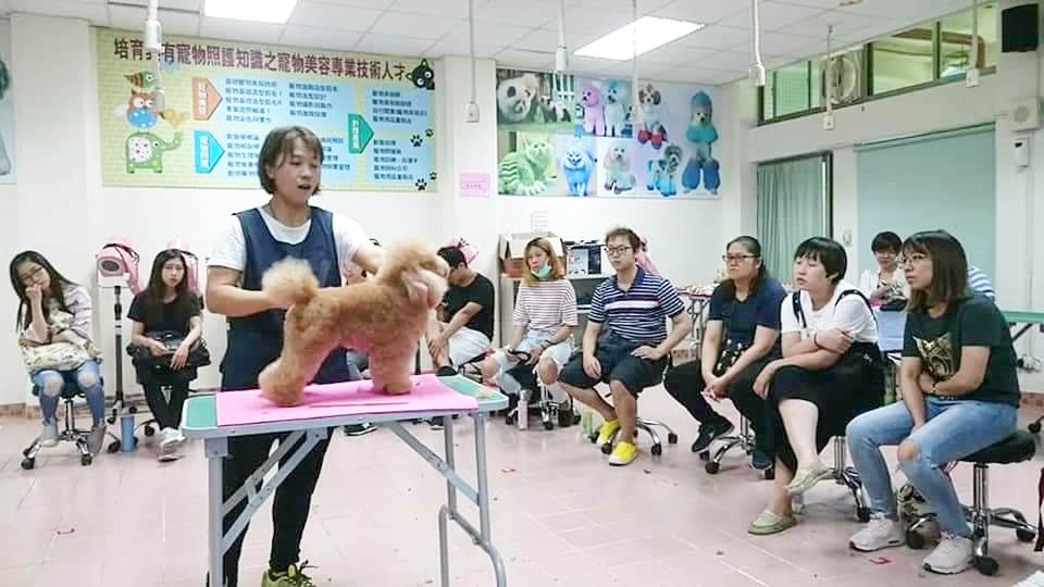 校外講習出國進修5