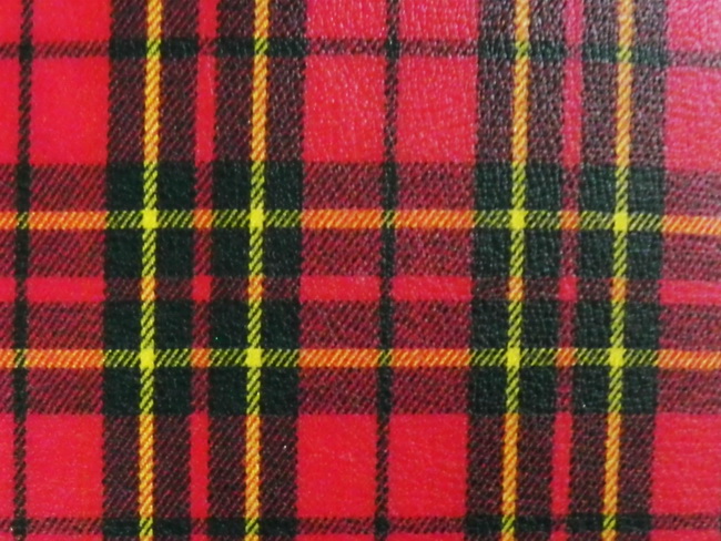 3D布料-蘇格蘭紋-a04