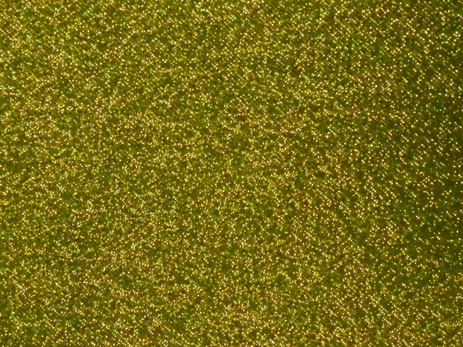 3D布料-蘇格蘭紋-a13