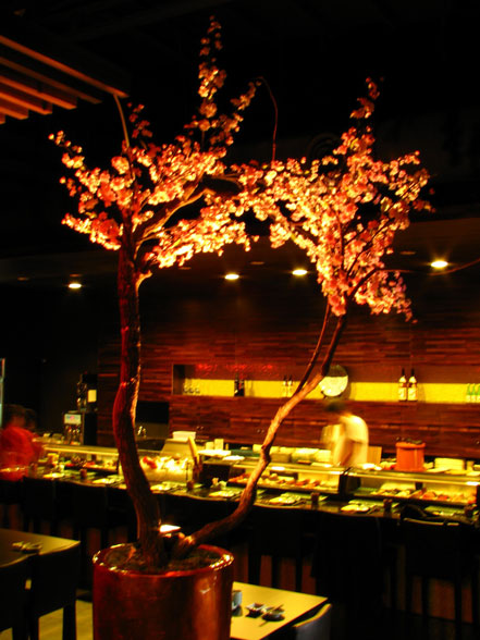 洋風和食、雲林懷石料理、雲林創意日本料理、松屋日本料理、雲林精緻日本料理