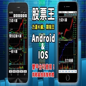 高欣證券投資顧問股份有限公司-undefined