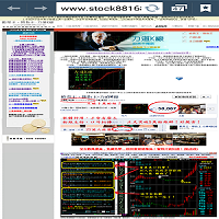 高欣證券投資顧問股份有限公司-undefined