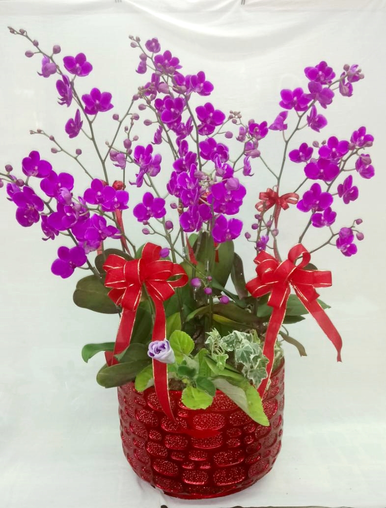 德美花藝店-送禮盆花設計