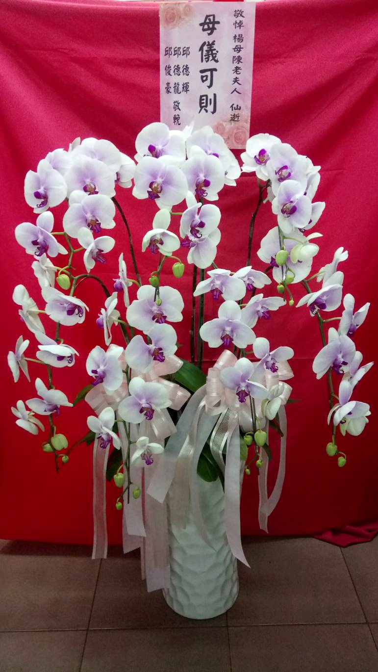 蘭花開店祝賀盆栽