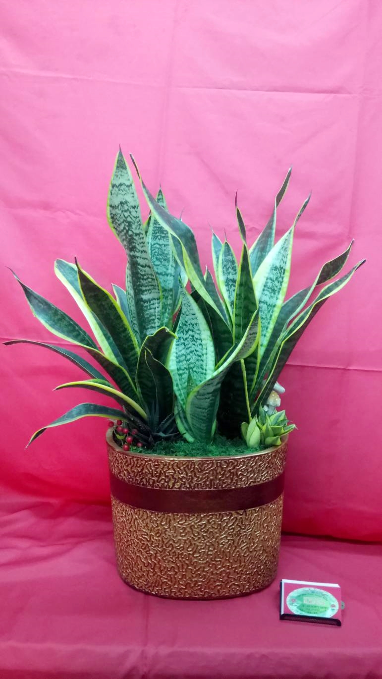 德美花藝店-盆景設計