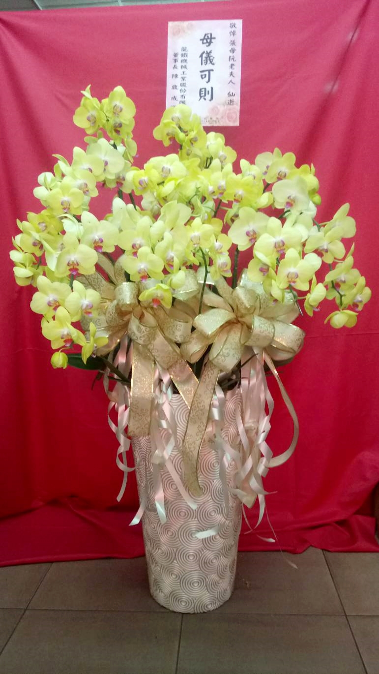 蘭花組合致賀盆栽