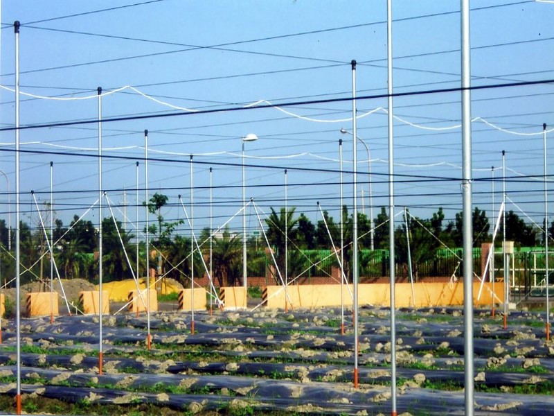 網式栽培室