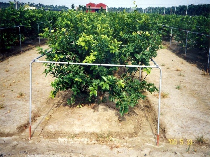 農用鍍鋅管.各種鋼鐵材