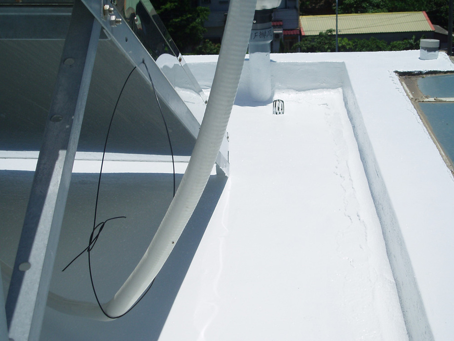 張協理屋頂邁斯特5