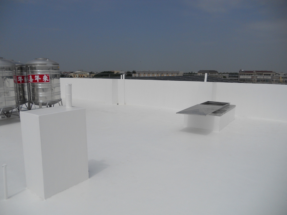 化工邁斯特實景圖片7