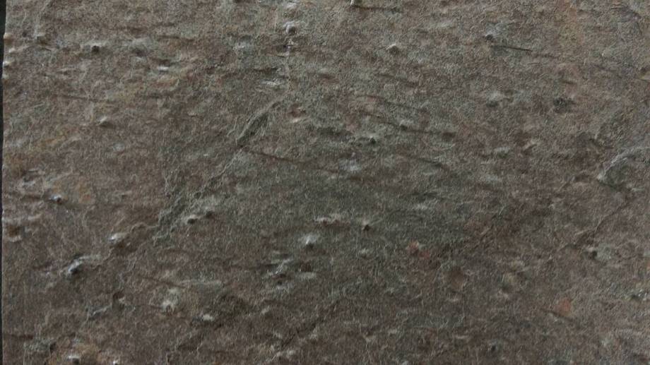 天然彩岩薄片CV-01金城岩