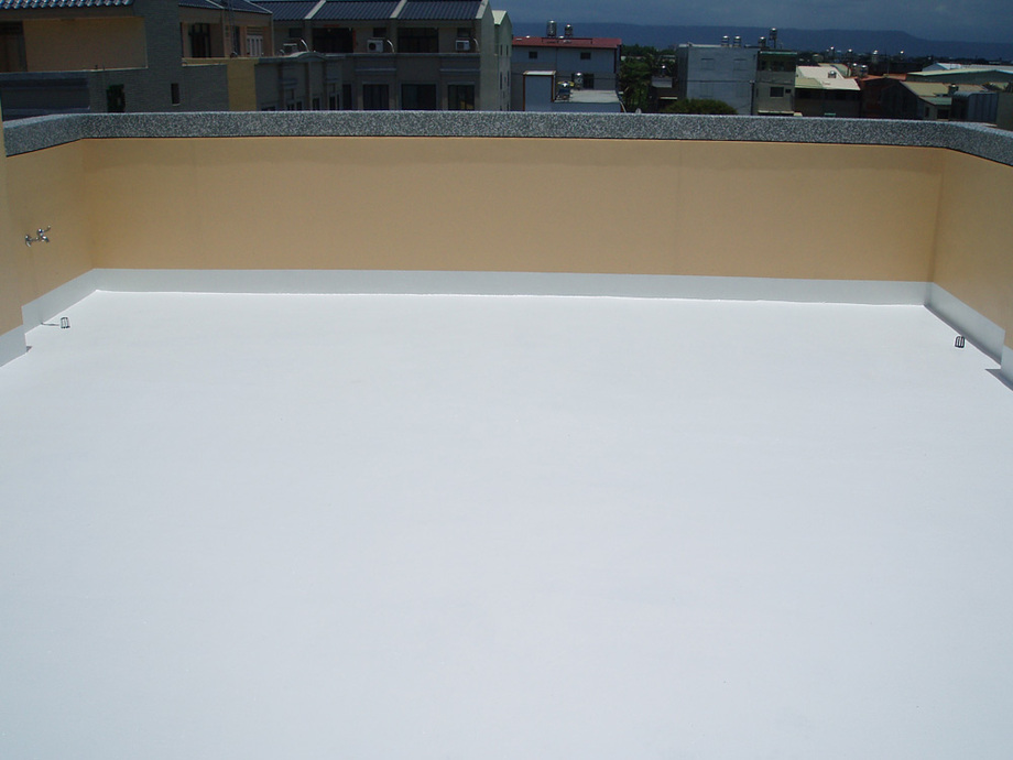 張協理屋頂邁斯特4