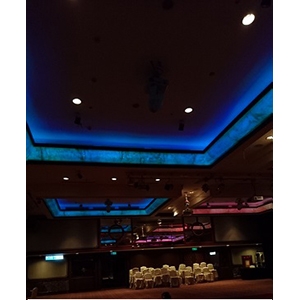 婚宴廣廣場變色冷極管