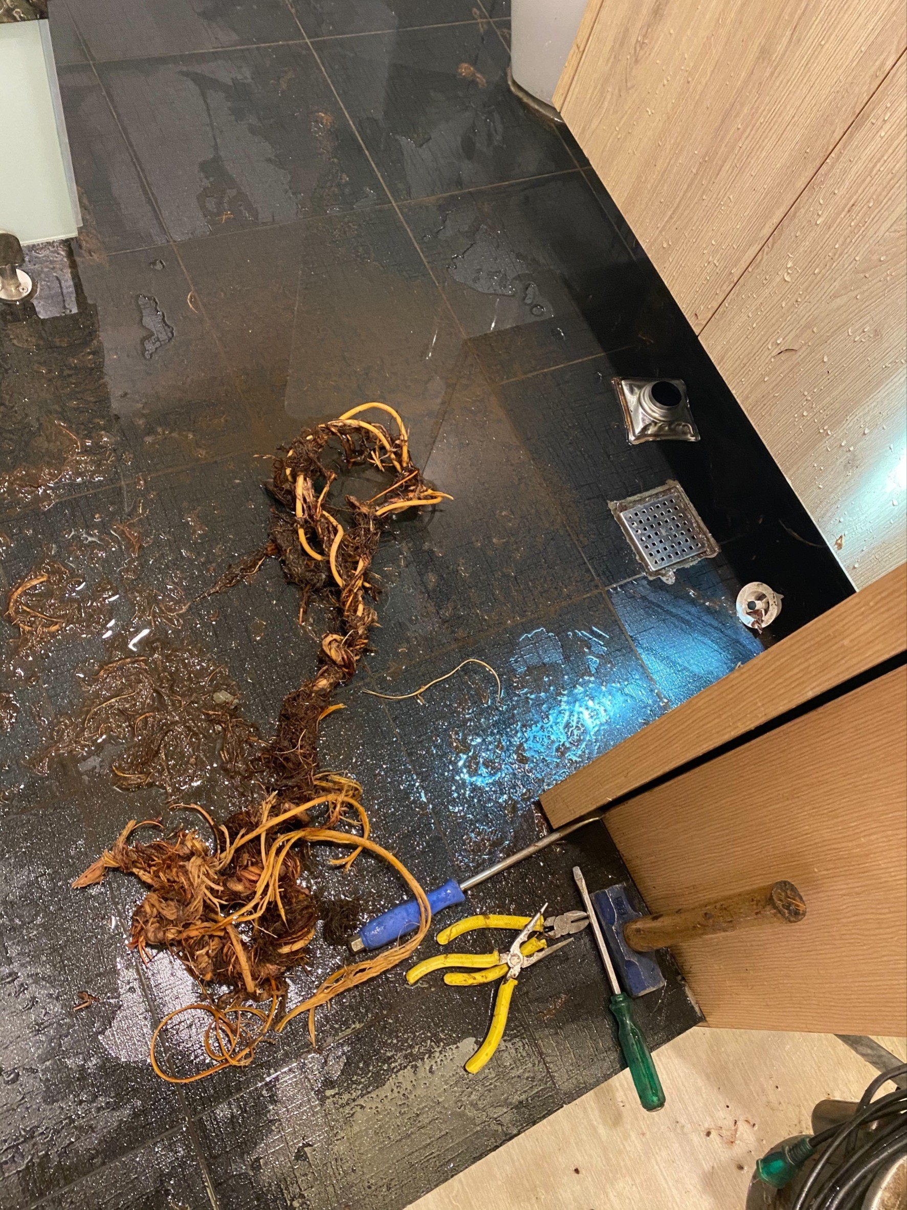 通浴室排水管(樹根堵塞)