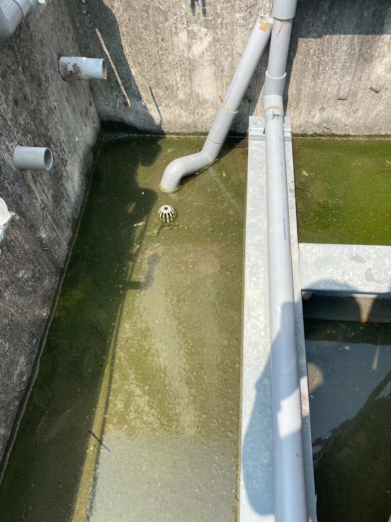 頂樓陽台排水堵塞