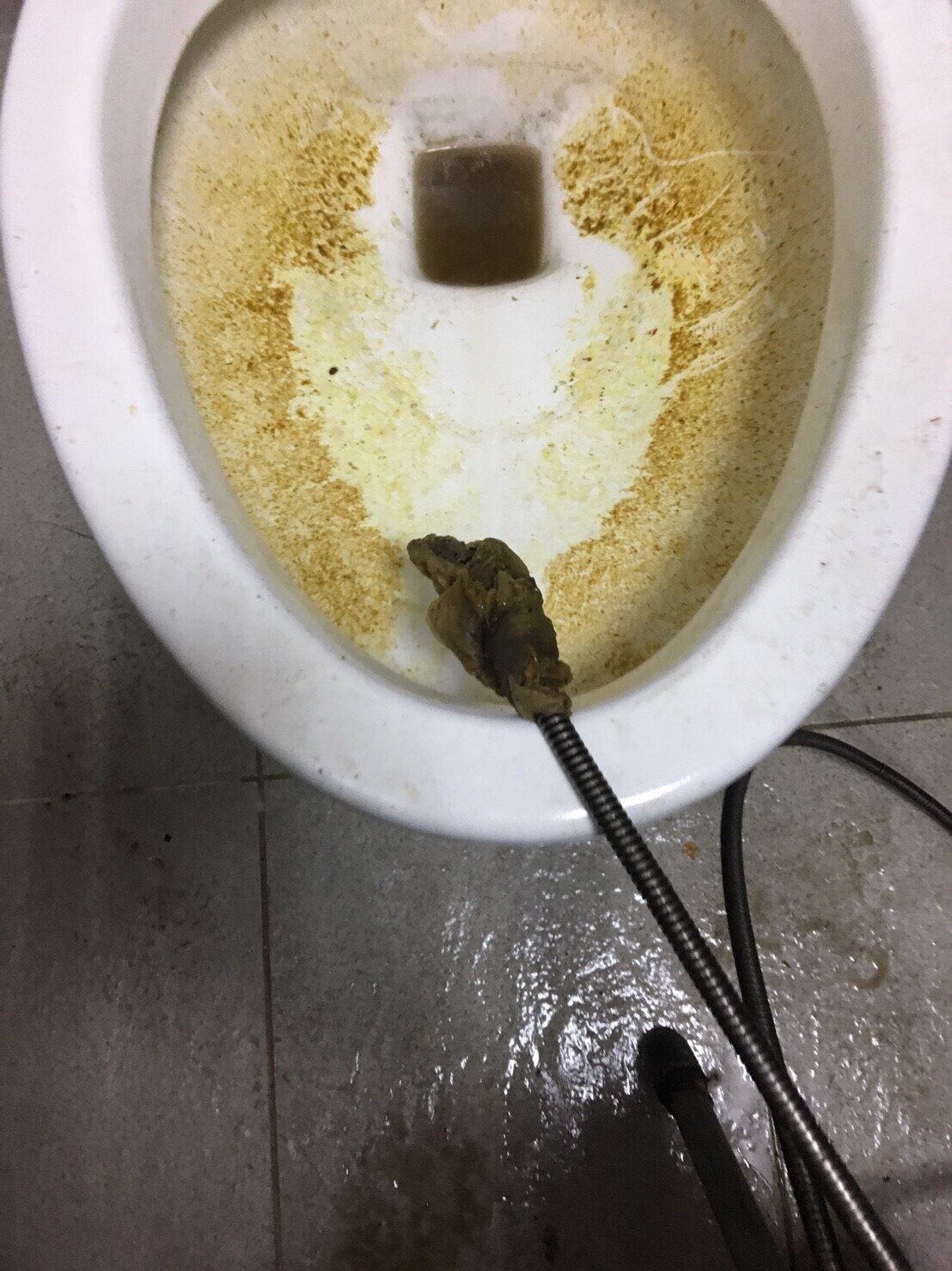 通宵,後龍通馬桶