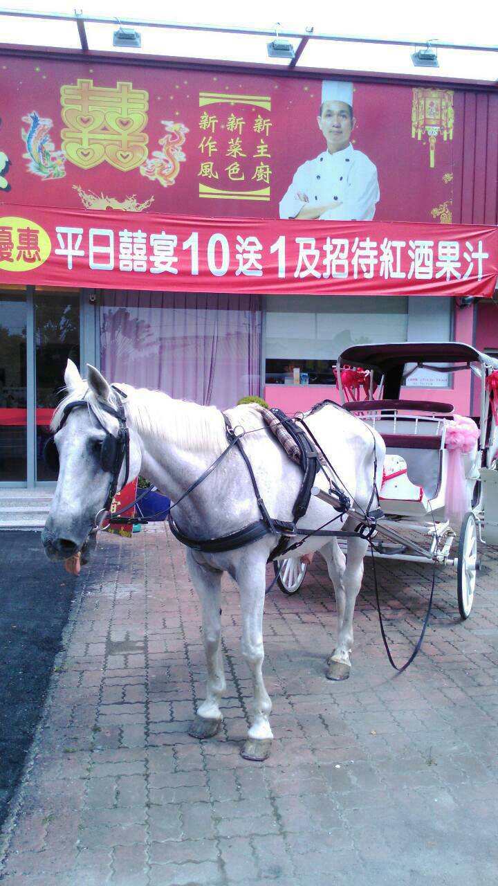 紅館全新裝潢06