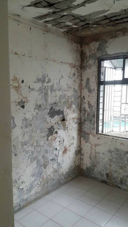 桃園林森路公寓壁癌處理前後對照