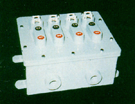 防爆型開關箱d2G4