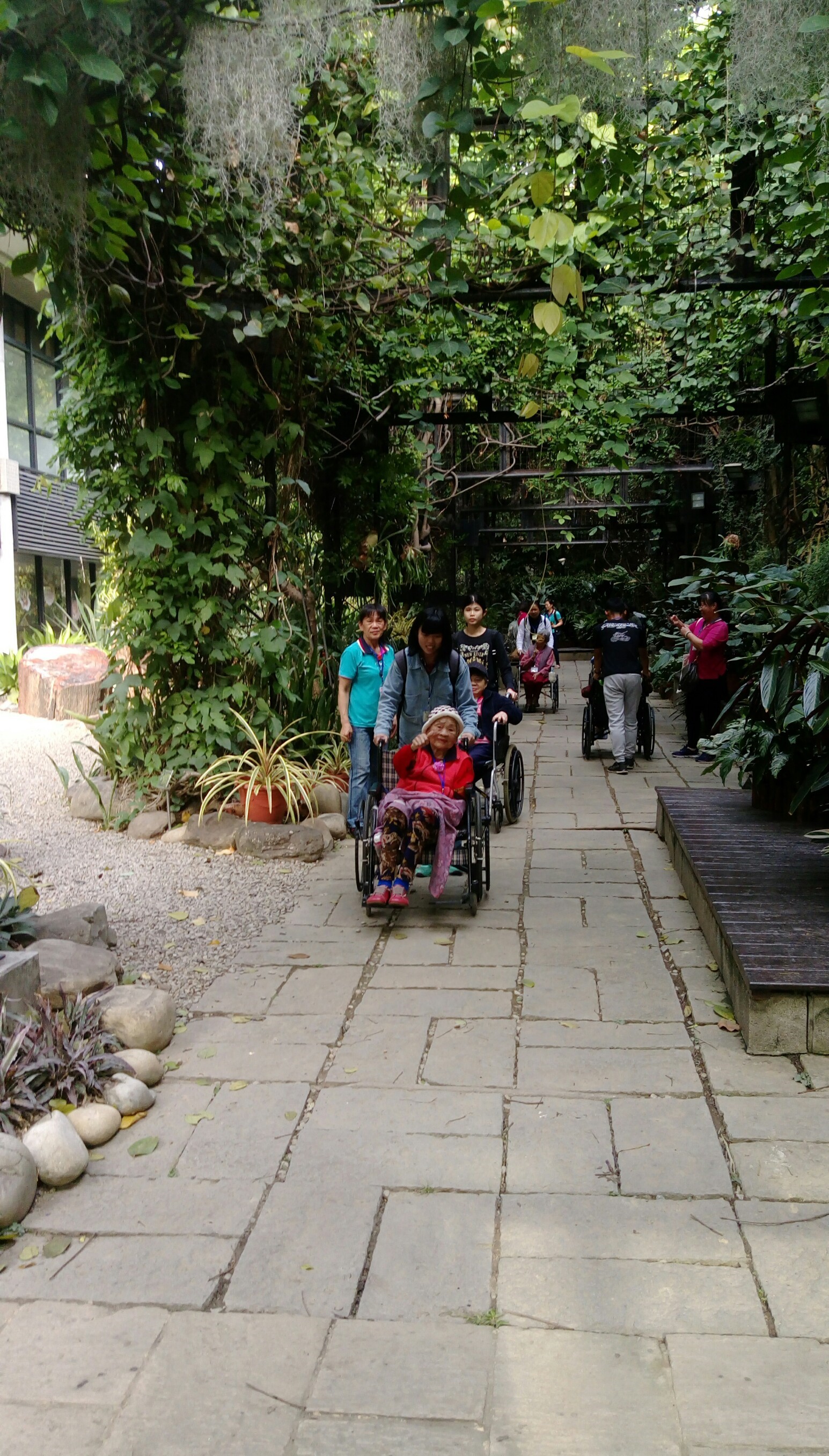 20181211植物園_181212_0029