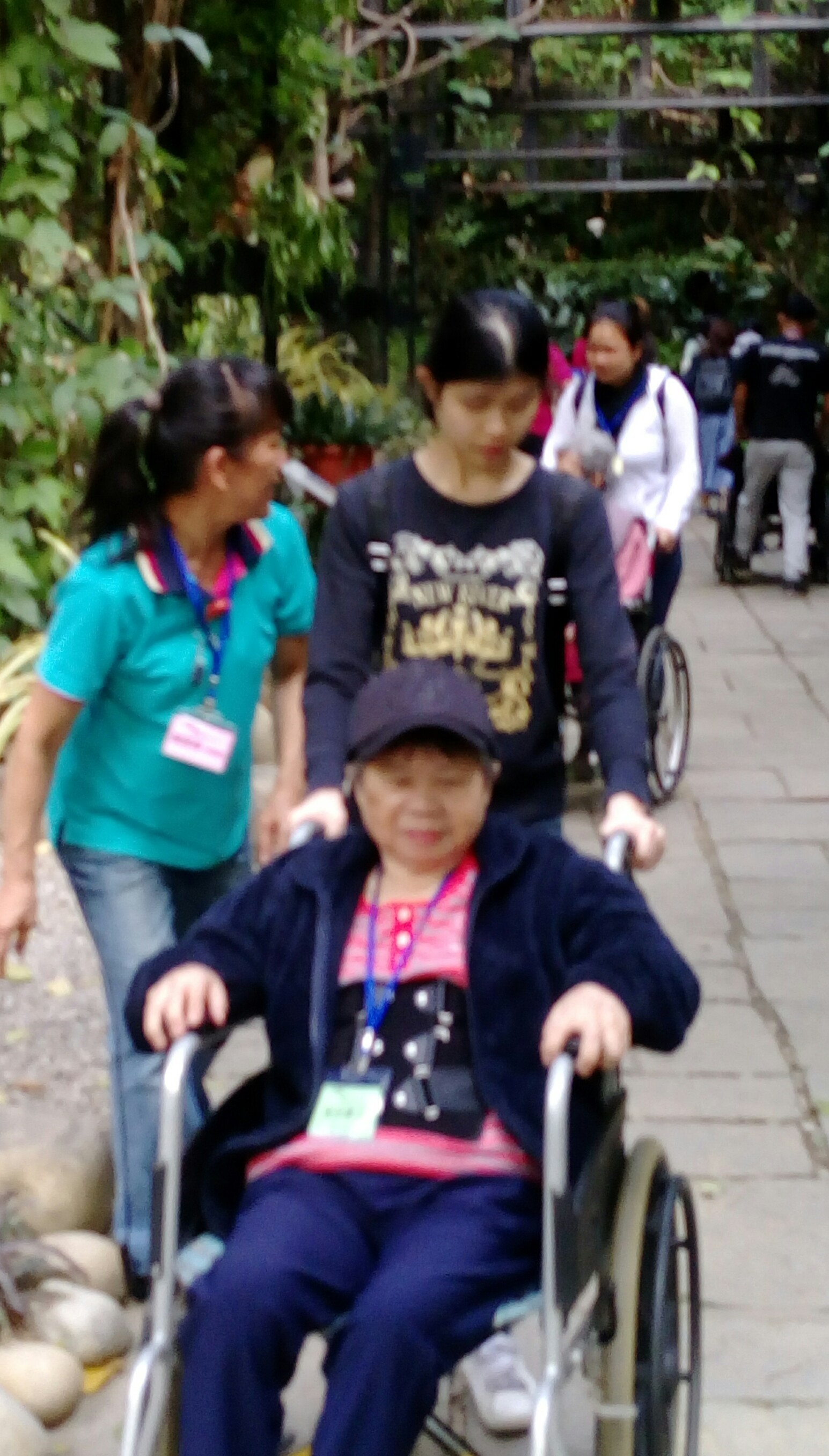 20181211植物園_181212_0030