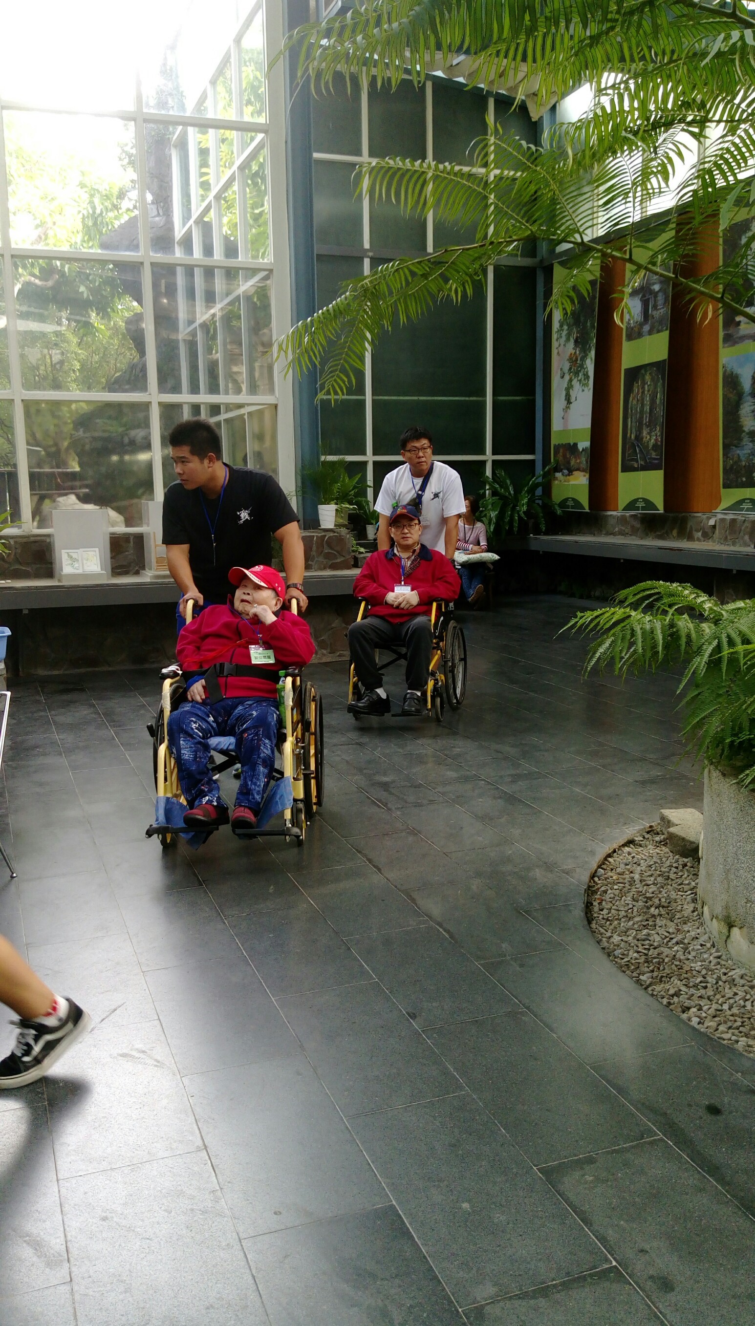 20181211植物園_181212_0026