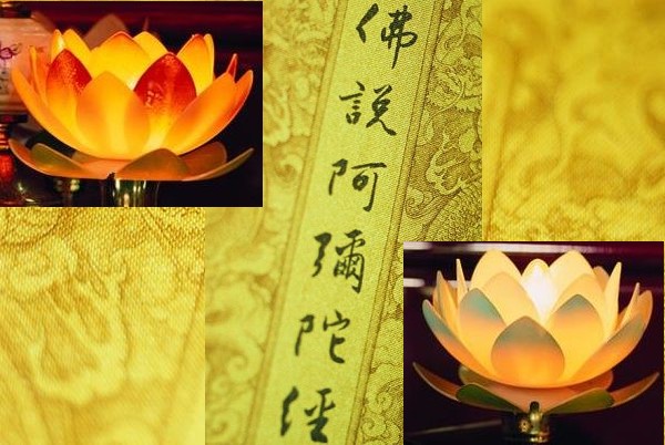 朝「真」、「善」、「美」的方向