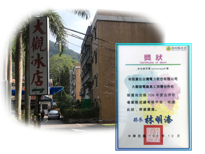 正老牌二坪冰-水里二坪冰-大觀冰店 (大觀冰店-正老牌50年|二坪冰|水里冰棒|二坪枝仔冰|水里二坪枝仔冰)-冷凍食品