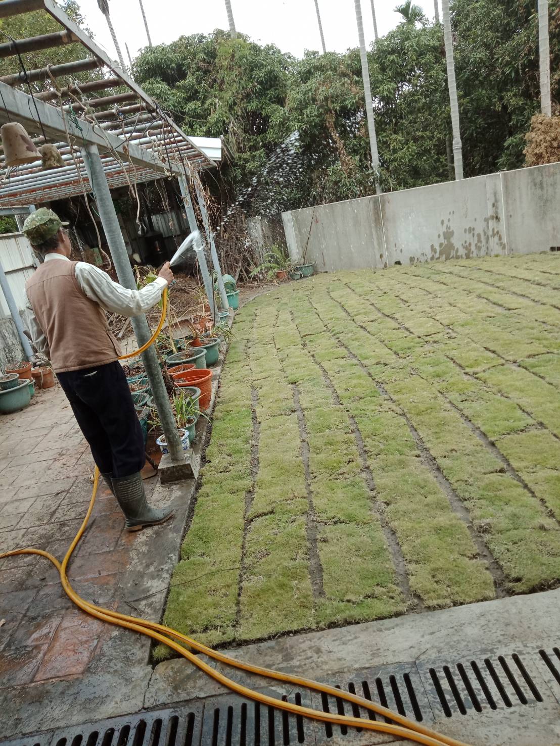 台中除草,割草,鋤草