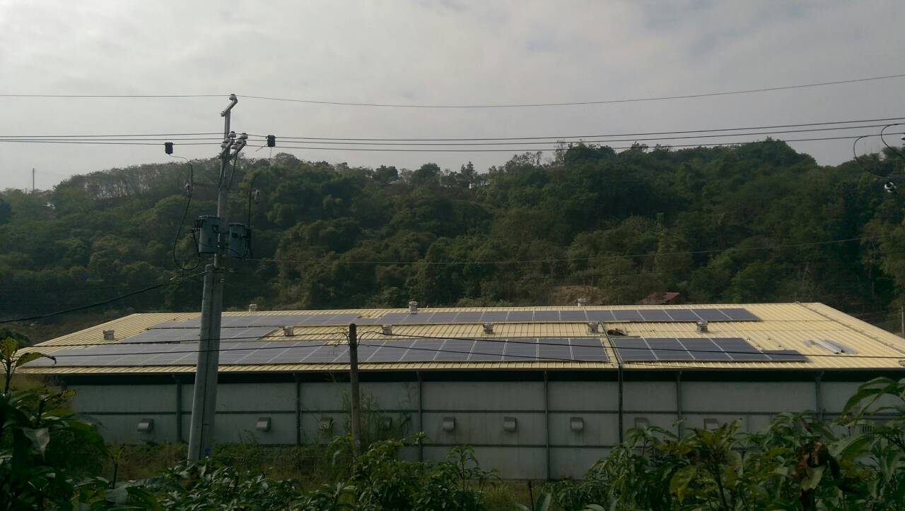 台南玉井菇舍屋頂出租鋪設太陽能板