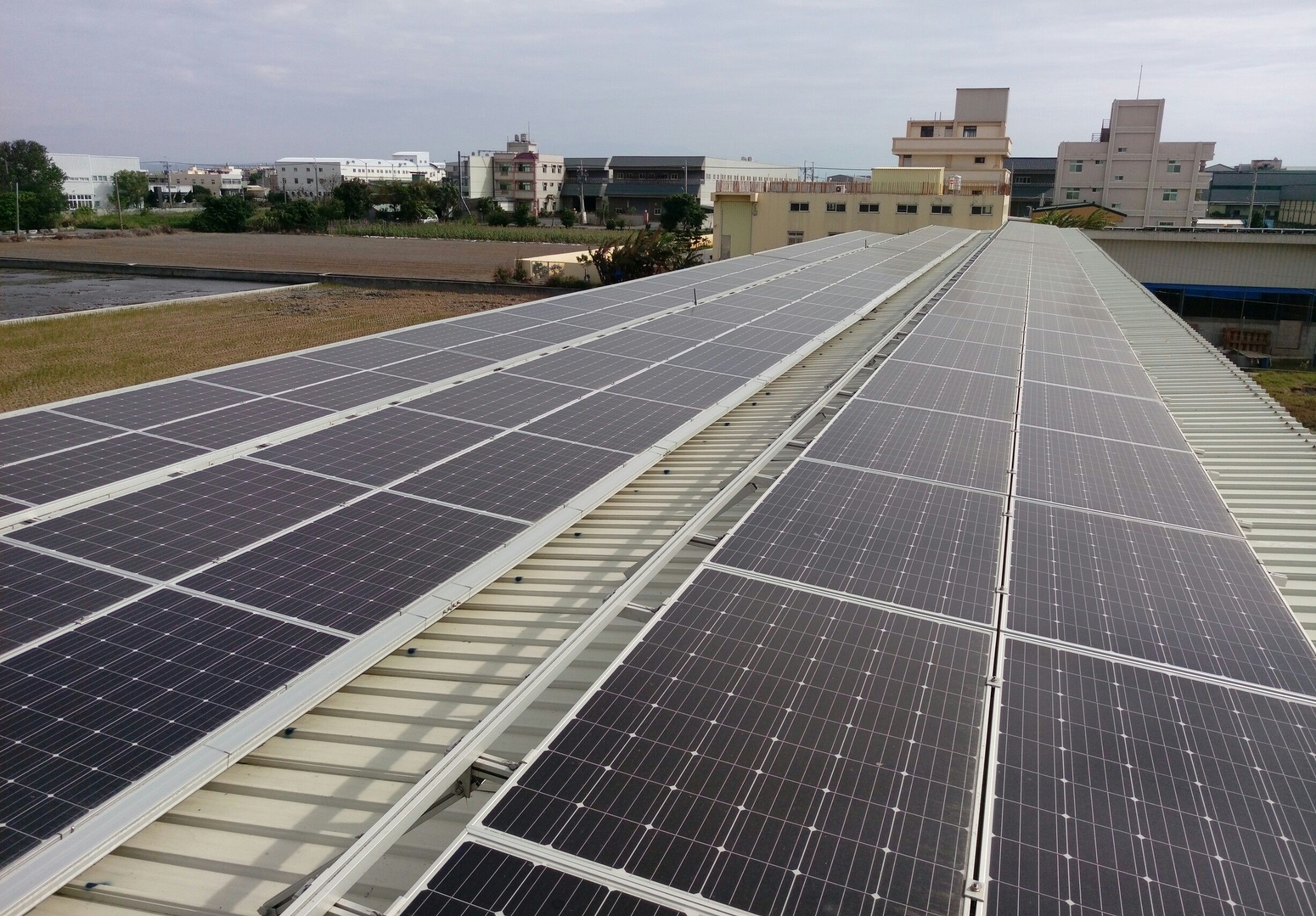 彰化養雞場浪板屋頂投資太陽能