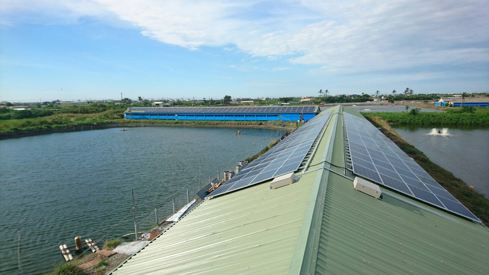 台南七股養豬場石棉瓦屋頂出租