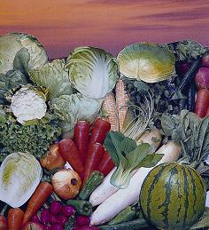 博友貿易有限公司