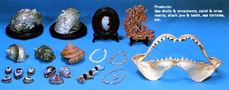 永齡國際貿易有限公司