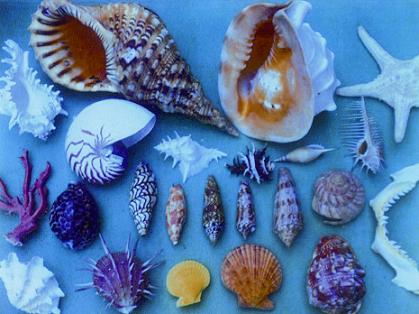 雅德實業有限公司