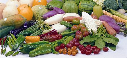 農友種苗股份有限公司