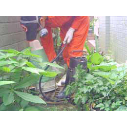 水溝蚊蟲除蟲施做